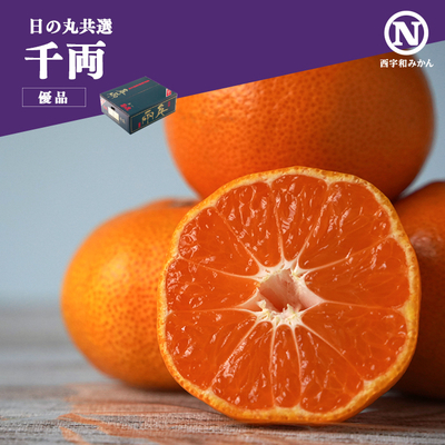 【共選商品】千両 5kg