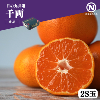 【共選商品】＜秀品＞千両 10kg［2S玉］