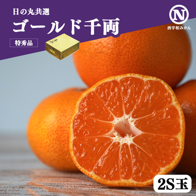 【共選商品】＜特秀品＞ゴールド千両 5kg