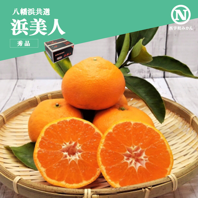 【共選商品】＜秀品＞浜美人 10kg