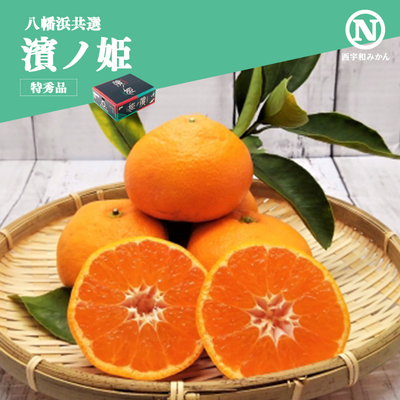 【共選商品】＜特秀品＞濱ノ姫 5kg