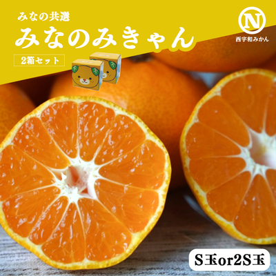 共選商品】＜特秀品＞みなの 2.5kg | 媛一お取り寄せ市場