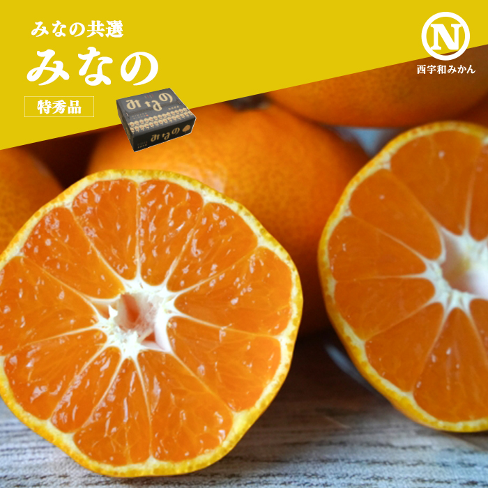 共選商品】＜特秀品＞みなの 2.5kg | 媛一お取り寄せ市場