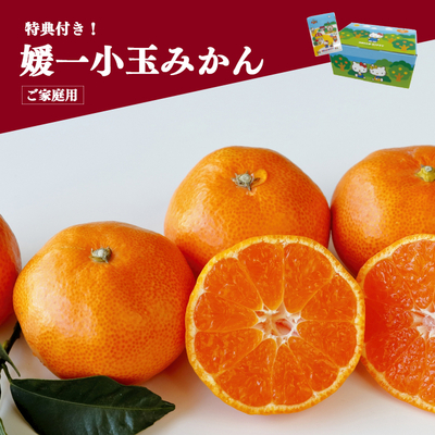 媛一小玉みかん 4kg キティ箱＜ご家庭用＞