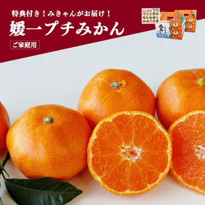 媛一プチみかん 2.8kg&times;２箱セット みきゃん箱＜ご家庭用＞