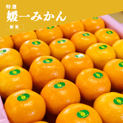 特選 媛一みかん＜贈答用-桐箱(小)＞