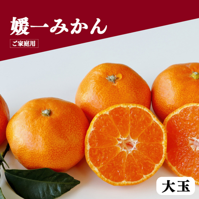 媛一みかん 大玉 4kg＜ご家庭用＞