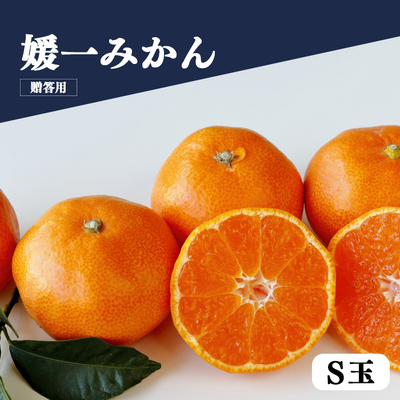 媛一みかん S玉 3kg＜贈答用＞