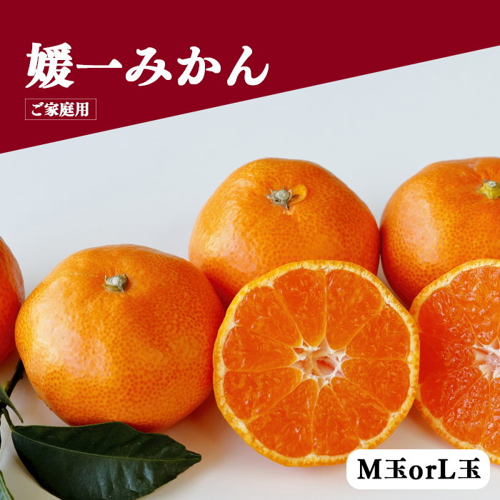 媛一みかん M玉/L玉 5kg＜ご家庭用＞ | 媛一お取り寄せ市場