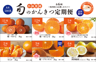 【一括払い】旬のかんきつ定期便 2026-2027【６か月コース】