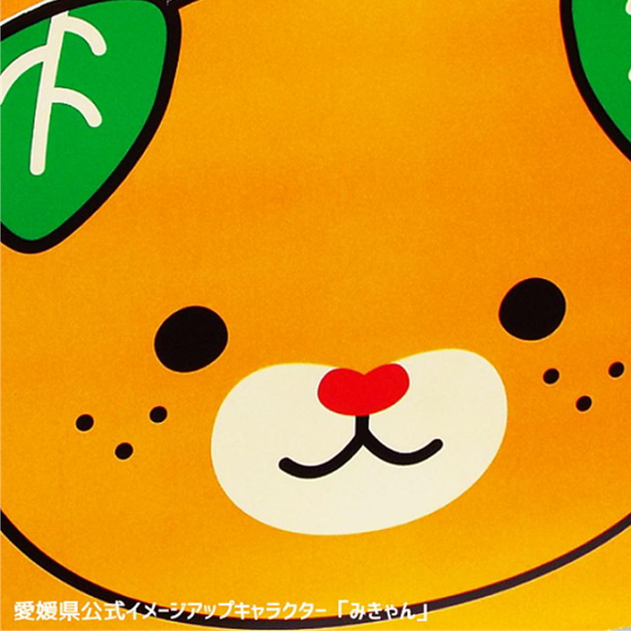 みなのみきゃん 1.5kg×2箱セット 2S～Sサイズ（小玉）】八協共選