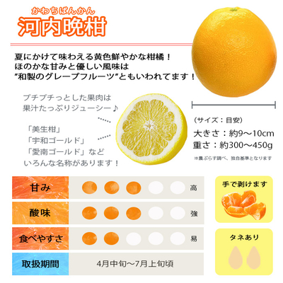 河内晩柑2.5kg+河内晩柑スパークリングジュースセット | 媛一お