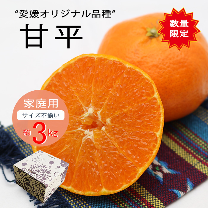 甘平(ご家庭用) 約3kg】小林果園 愛媛県 西宇和 八幡浜 産地直送 | 媛 