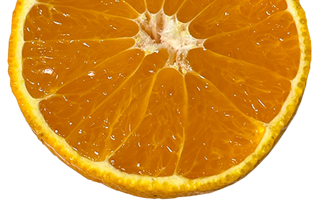 2月中旬出荷開始予定】しらぬひ+はるかセット 各1.5kg | 媛一お