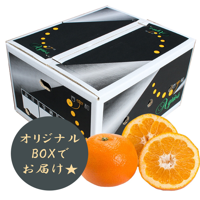 いよかん 約9kg】小林果園 愛媛県 西宇和 八幡浜 産地直送 | 媛一お