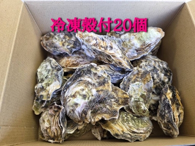 冷凍殻付20個 (加熱用)