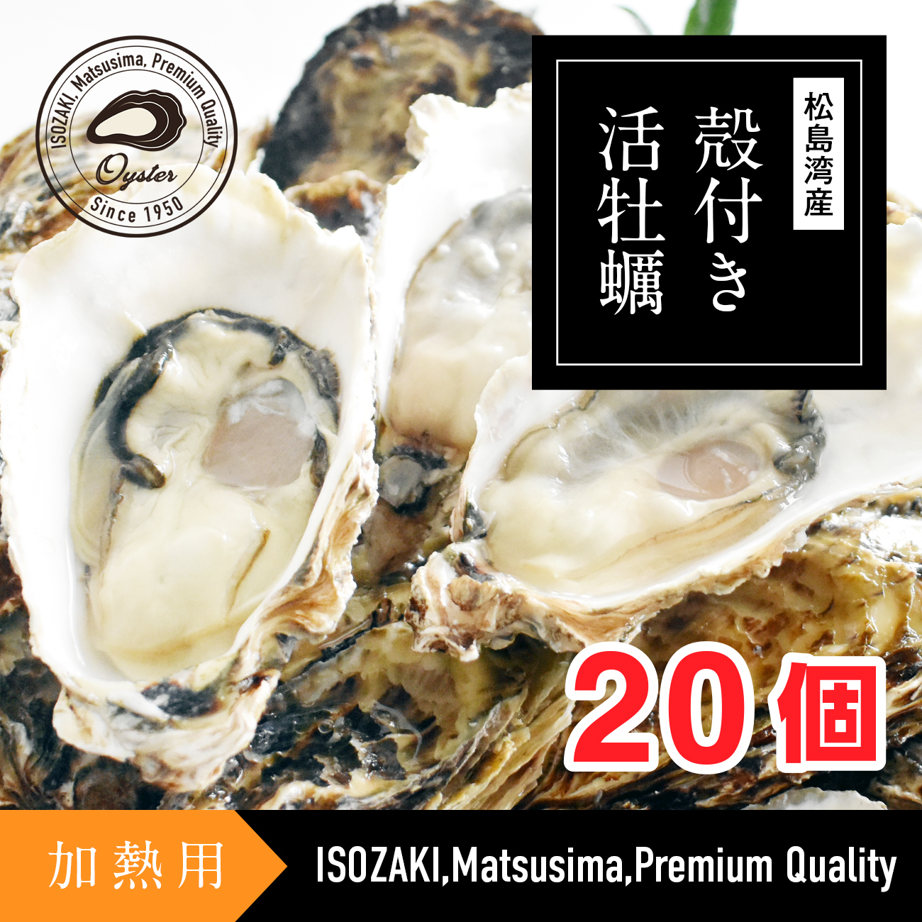 松島湾産 殻付き活牡蠣 加熱用 20個 - 豊かな海の味 | 磯崎漁業組合