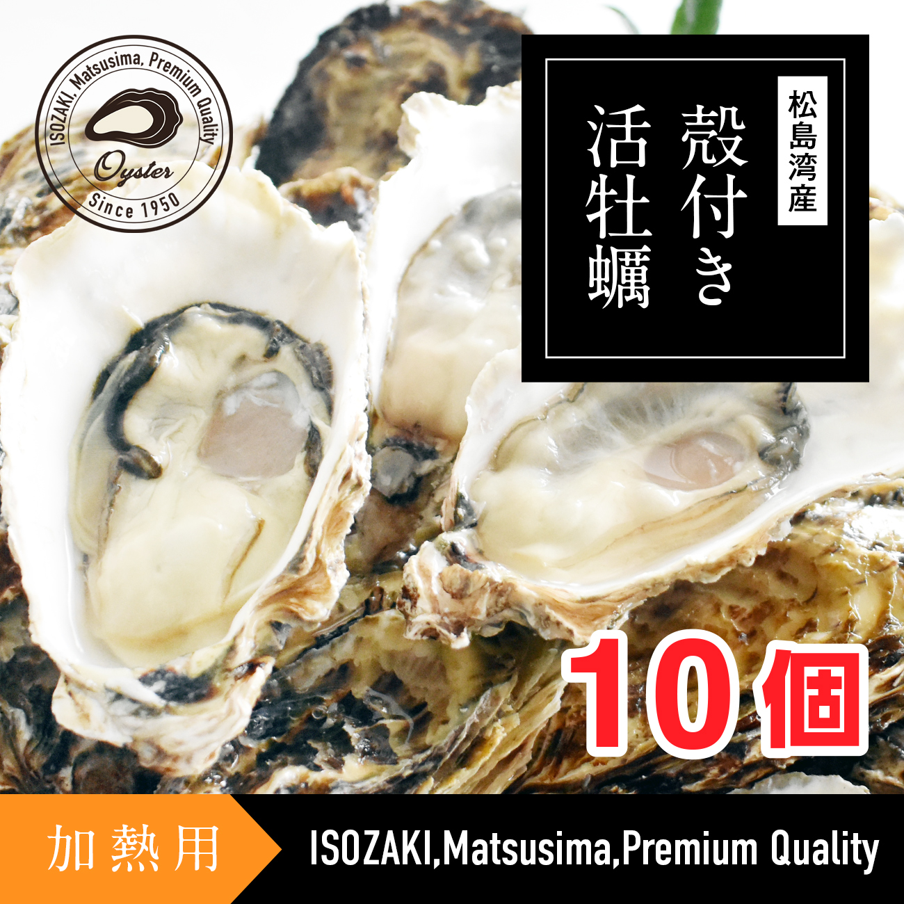 松島湾産 殻付き活牡蠣 加熱用 10個 - 新鮮な味の楽しみ | 磯崎漁業