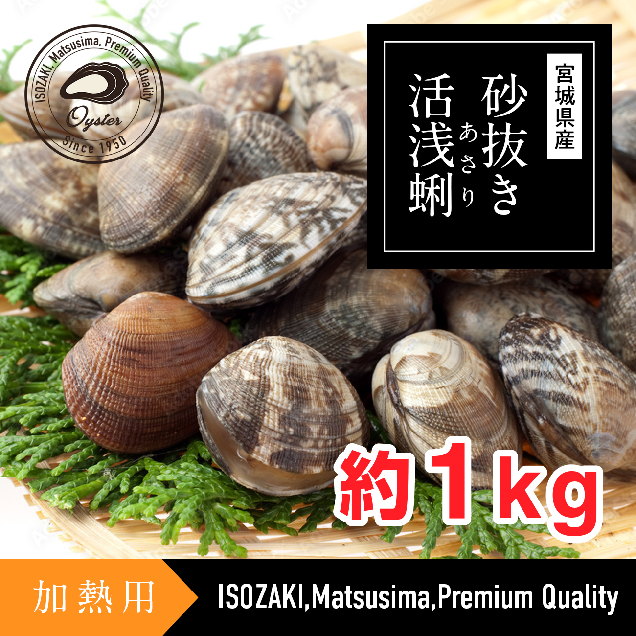 あさり 松島湾産 砂抜き活浅蜊 1kg - 新鮮で美味 | 磯崎漁業組合牡蠣直販部