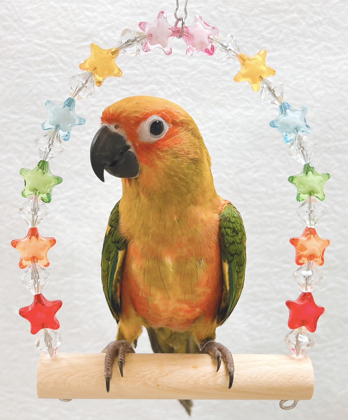 neko N-122 ブランコM キラキラスター | こんぱまるオンライン