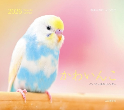 2026年 かわいんこ インコと小鳥のカレンダー