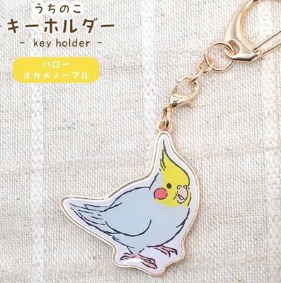 New!FA　うちのこキーホルダー　ハローオカメノーマル