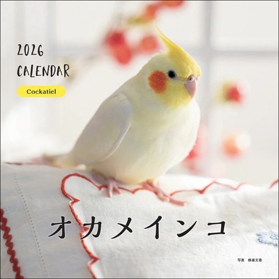 2026年 大判カレンダー オカメインコ