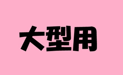 2026年福袋　大型用