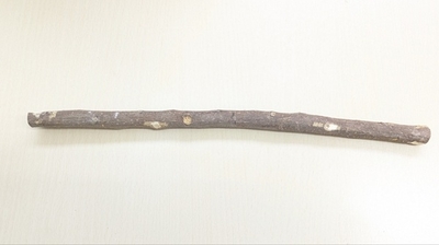 お買得！国産 自然木止まり木　XS30cm（止まり木のみ）ヒビ割れ⑧