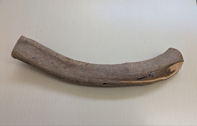 お買得！訳あり！国産 自然木止まり木　大（太さ約4.1～6.5cm）30㎝　ヒビ割れ⑦