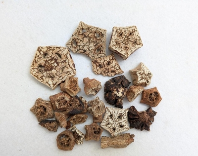 お買得！マホガニーヘッドorフット　小さいセット