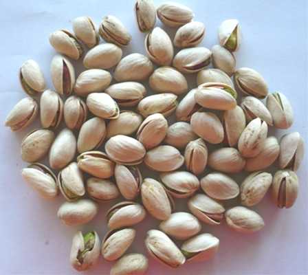 無添加 生ピスタチオ 100g | こんぱまるオンライン