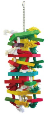 Birdi 00028　カラー