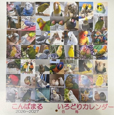 【リニューアル！】2026年 こんぱまる色鳥(いろどり)カレンダー