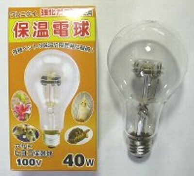 お買得！アサヒ 保温電球40w（ペットヒーター用交換電球）外箱汚れあり