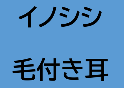イノシシ　毛付き耳(ボイル)　2個入り(ペット用ジビエ)