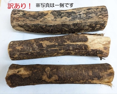 訳あり！国産 自然木止まり木　超特大40㎝
