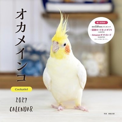 2027年　大判カレンダー　オカメインコ　　