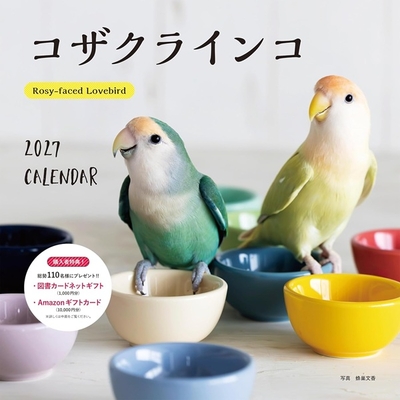 2027年　大判カレンダー　コザクラインコ　　