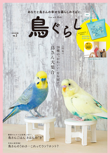 鳥ぐらし vol.2 | こんぱまるオンライン