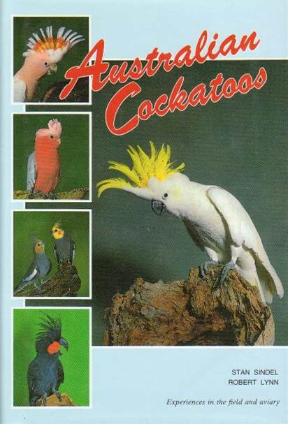 あ*な様 スワロフスキー cockatoo オウム 楽天市場】スワロフスキー