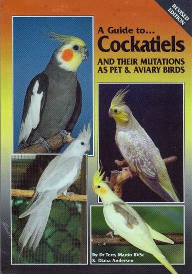 A Guide to Cockatiels AND THEIR MUTATIONS AS PET | こんぱまる