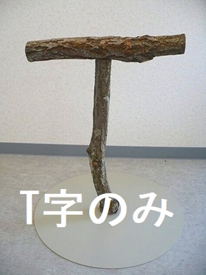 タイハクサイズ 80cmスタンドT字部分のみ | こんぱまるオンライン
