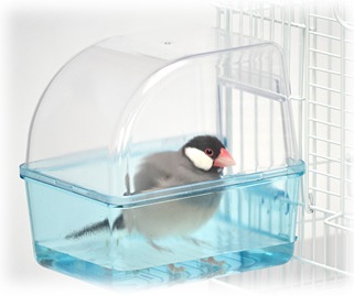 ぱ*る様 【未使用 ☆さらに値下げしました☆】飼い鳥用バスルーム SK 小鳥の快適バスタイム | こんぱまるオンライン