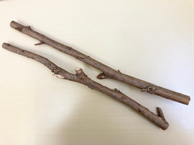 個数限定！国産 自然木【杉】止まり木 XS 40cm [ﾈｼﾞ穴6㎜]（止まり木