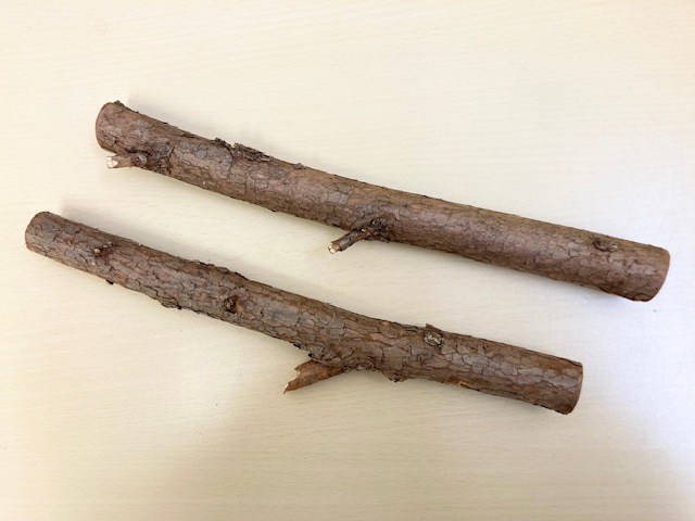 国産 自然木【杉】止まり木 M 30cm [ﾈｼﾞ穴6㎜]（止まり木のみ