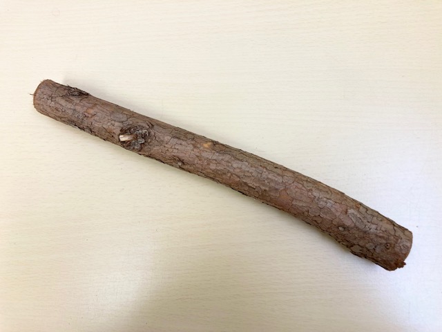 国産 自然木【杉】止まり木 L 30cm（止まり木のみ） | こんぱまる