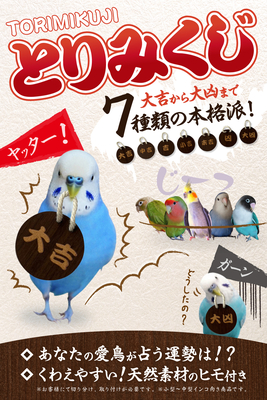 D20　⭐　ミラーボードとフォージングトイセット(大)⭐　インコ　バードトイ DearBird】フォージングスピン～小型の鳥さん向け～｜Bird's Grooming Shop