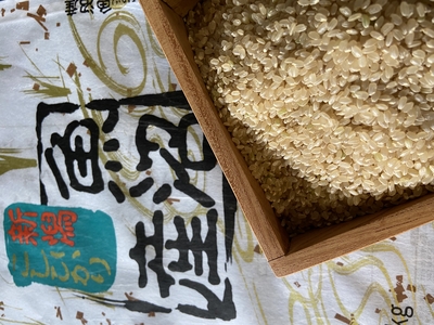【令和7年新米予約】魚沼産コシヒカリ　玄米　１０Kg　９月２５日発送開始予定