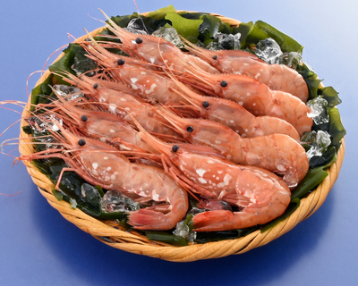 大ぶり冷凍ボタンエビ【メス】（500g / 12～13尾前後）